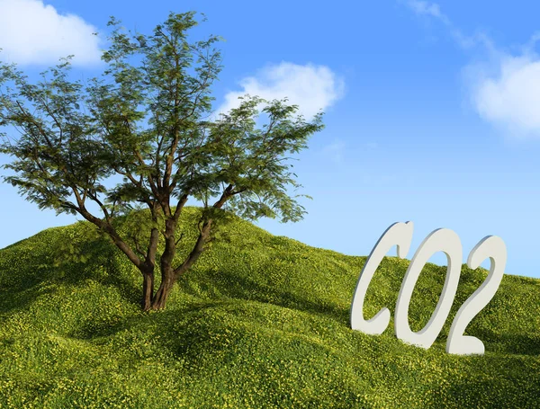 緑の草原で二酸化炭素という言葉木と美しい空 3Dレンダリング — ストック写真