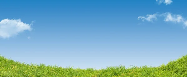 Grüne Sommerwiese Mit Wunderschönem Blauen Himmel Und Wolken Darstellung — Stockfoto