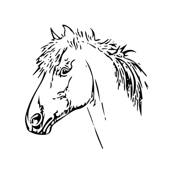 Kop Van Een Paard Het Zwart Een Witte Achtergrond Vector — Stockvector