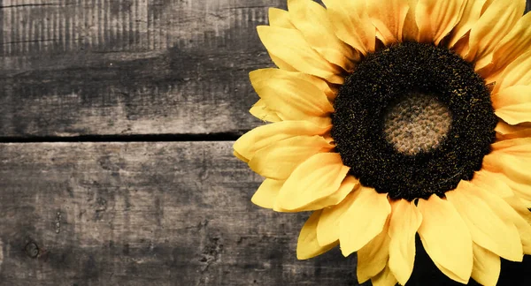 Sunflower Wooden Background Space Text Image — Stock Photo, Image