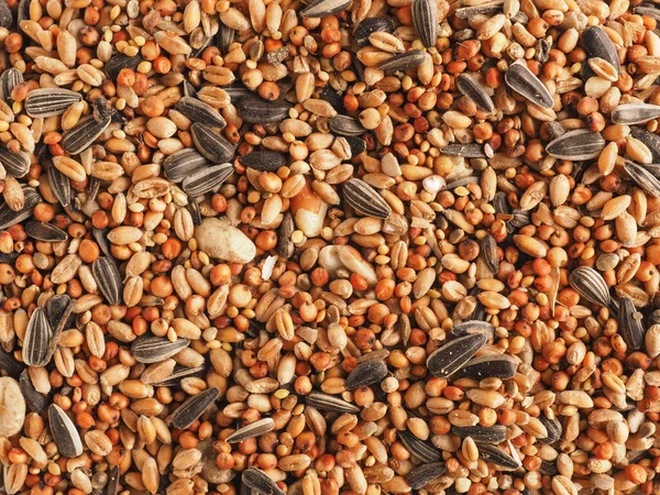 Bird food texture using as background, close up, bird feeding concept, view from above