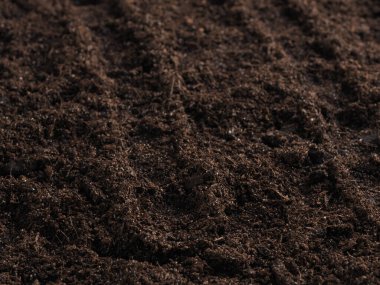 Başarılı ve sürdürülebilir ekimin temeli olarak besin zengini toprağın yakın planda tutulması!