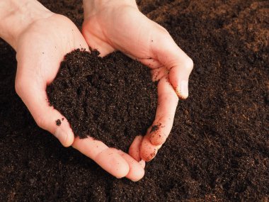 Çiftçi elleri besin açısından zengin toprağı kalp şeklinde tutuyor. Çevresel koruma için sağlıklı toprak ekiliyor.
