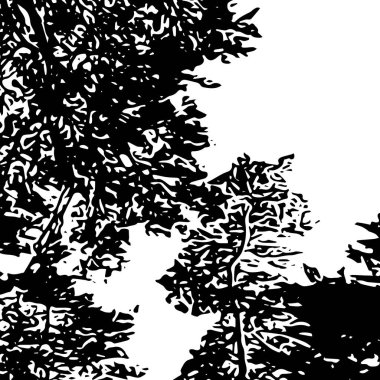 Arkaplan ya da doku şablonu olarak kullanılan güzel ağaç şekilleri, siyah ve beyaz vektör resimlemesi