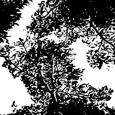 Arkaplan ya da doku şablonu olarak kullanılan güzel ağaç şekilleri, siyah ve beyaz vektör resimlemesi