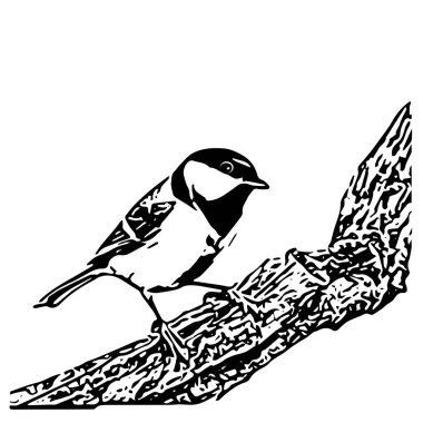 Abstract illustration of a great tit on a twig, vector illustration