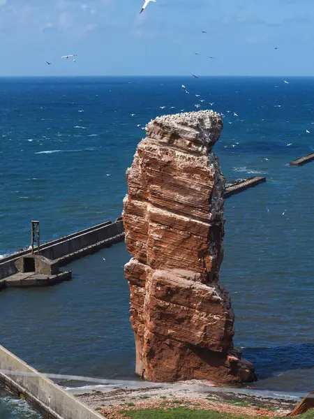 stock image Lange Anna or Tall Anna, 47-metre-high sea stack of Buntsandstein in the North Sea island of Heligoland, Germany.