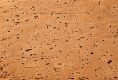 Mantar dokusunu arkaplan ya da başlık, doğal madde ya da yalıtım kavramı olarak kullanarak kapat