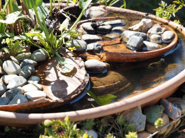 Bahçedeki bir su birikintisinde arılar ve eşekarıları için özel olarak tasarlanmış eşek arısı içmek, bahçede ve balkonda basit doğa koruma araçları.