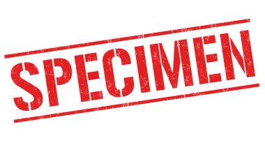 Numune grunge lastik damgası beyaz arka planda, vektör çizim