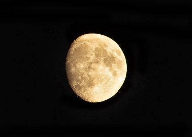 Sarı ay, gece karanlığında mumyalanmış dev gibi bir evrede. Ay siyah arkaplanda izole edildi