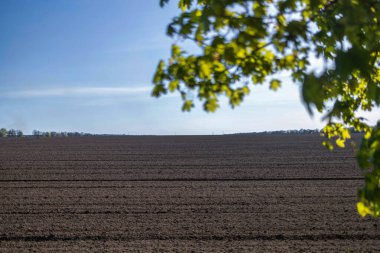 Önplanda odaklanmış tarlaya sahip peyzaj