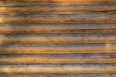 Kütük evin duvarının ahşap dokusu..