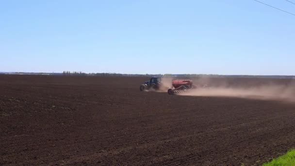 Farmářský Traktor Výsevem Plodin Velkém Obilném Poli Slunečného Dne — Stock video