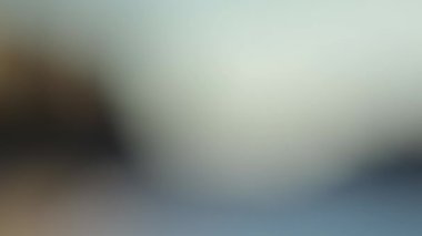 Bu animasyon yumuşak, soyut renk gradyanı spektrumundan geçer, rahatlatıcı ve büyüleyici bir görsel deneyim sağlar..