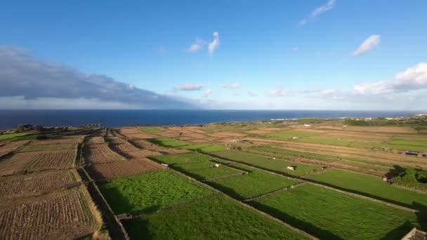 Volo Aereo Vista Sui Campi Terra Oceano Atlantico Isola Azzorre — Video Stock