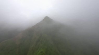 Dağ tepesinin üzerinden uçan hava manzaralı yüksek orman, yoğun sis Azores.
