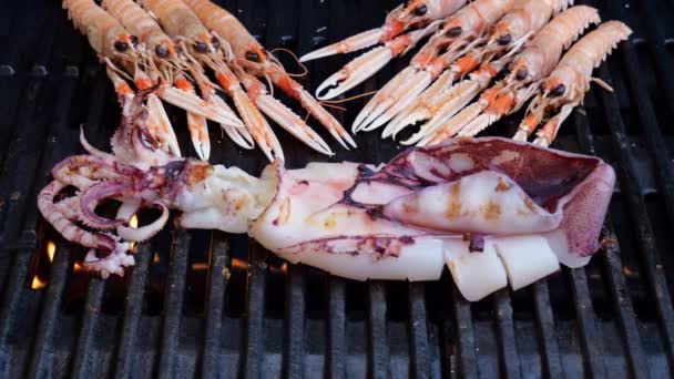 Cooking Scampi Nephrops Norvegicus Langoustines Squid Grill Closeup — Stockvideo
