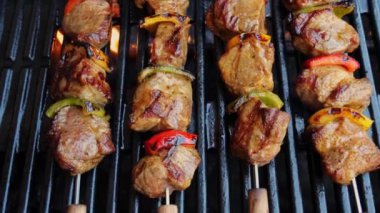 Şişte ızgara domuz eti ve sebze. Izgara yemek. Açık havada. Piknik