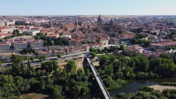 サラマンカ 大聖堂 歴史都市 スペイン 航空スカイライン ドローンビュー 2023 — ストック動画
