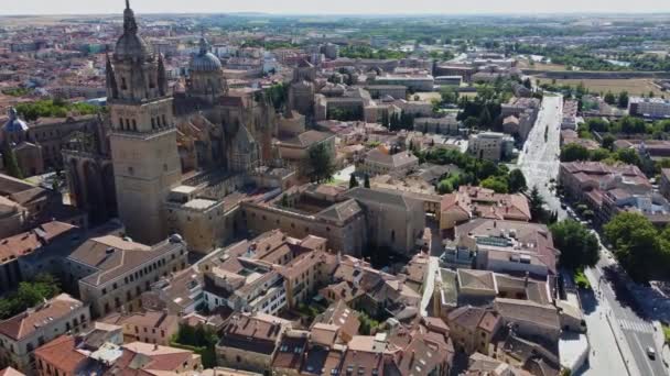サラマンカ 大聖堂 歴史都市 スペイン 航空スカイライン ドローンビュー 2023 — ストック動画