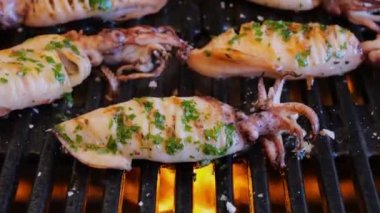 Izgarada kalamar, barbekü, yakın. Piknik