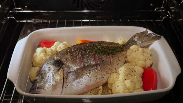 Bearbetning Matlagning Dorado Fisk Med Grönsaker Ugnen Tiden Går Närbild — Stockvideo