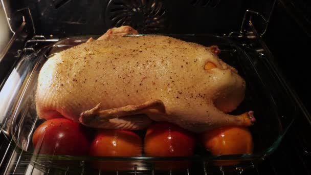 Baked Duck Oven Stuffed Apples Time Lapse Close Christmas Holiday — Stock Video