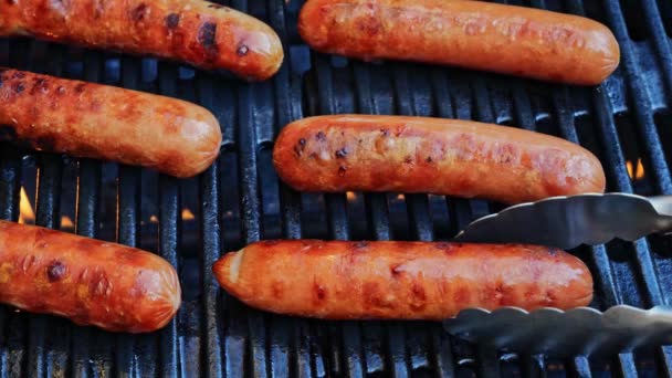 Grilled Sausages Bockwurst Barbecue Grill Grate Flame Turn Sausages Close — Stock Video