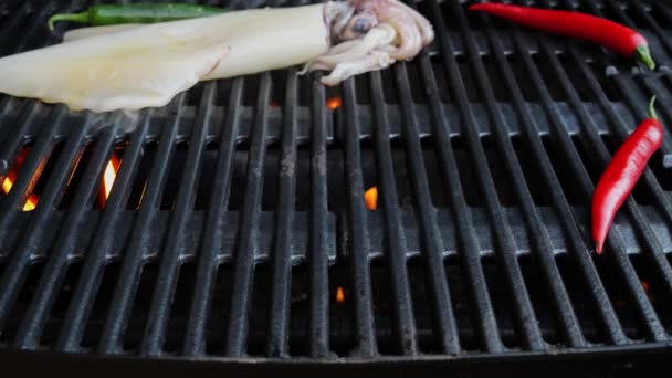 Disporre Calamari Sul Barbecue Griglia Ghisa Frutta Mare — Video Stock