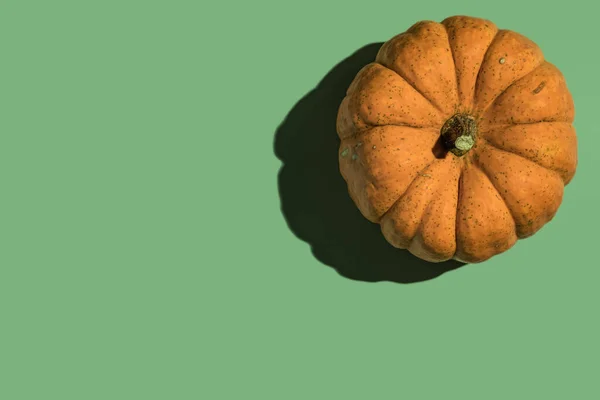 Orange Pumpkin Shadow Green Background — Photo