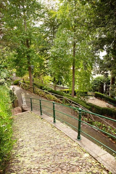 Trädgård Toppen Monte Madeira Portugal — Stockfoto