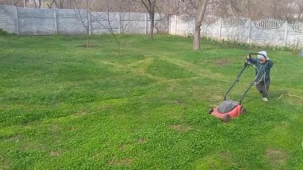 未就学児は芝刈り機で小さな芝生を刈る ビデオはスマートフォンのカメラで撮影されました — ストック動画