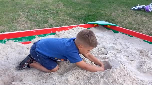 Bambino Età Prescolare Gioca Sandbox Giorno Estate Ragazzo Inginocchiato Nella — Video Stock