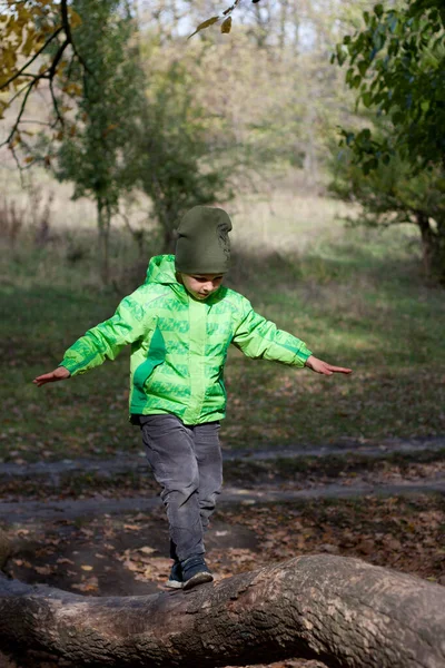 Παιδεραστής Περπατάει Κατά Μήκος Πεσμένου Κορμού Δέντρου Παιδί Κρατά Ισορροπία — Φωτογραφία Αρχείου