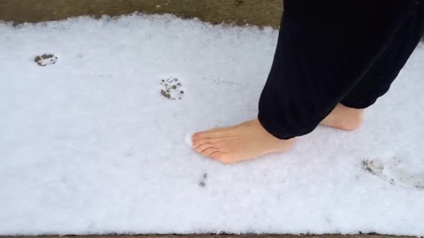 Woman Walking Barefoot Snow Close Mans Bare Feet Hardening Body — ストック動画