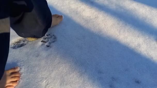 Child Walking Barefoot Snow Close Childs Bare Feet Hardening Body — Αρχείο Βίντεο