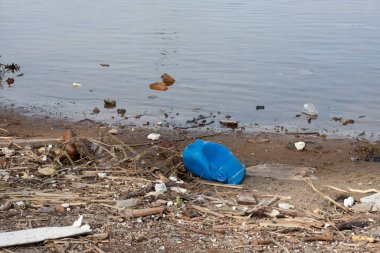 Dinyeper Nehri 'nin kıyısında çöp. Plastik çöpler, kütükler, köpük ve nehir kıyısındaki diğer döküntüler. Ekolojik kavram. Dünya günü konsepti. Küre kirliliği. Şehir plajında çöp..