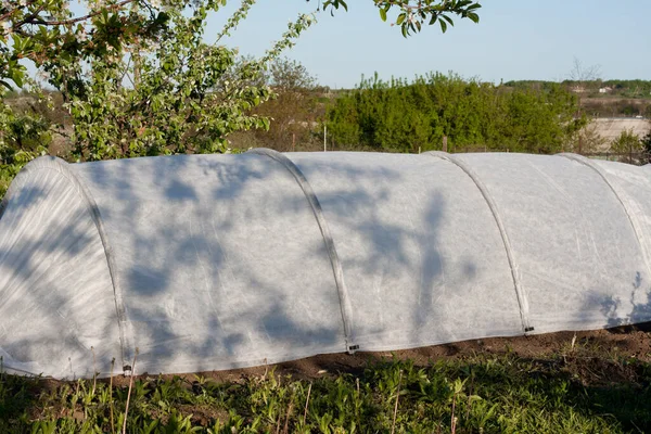 庭の低いアーチ型の温室 春の庭で湿度を維持し 霜に対するポータブルスパンボンドコールドフレームで覆われた苗で野菜のベッド ストックフォト