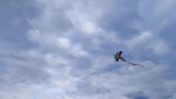 Φωτεινό Χρωματιστό Χαρταετός Παπαγάλος Πετά Στο Συννεφιασμένο Ουρανό Υπό Τον — Αρχείο Βίντεο