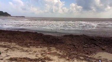 Kirli deniz, kumlu sahil, kirlilik, çevre sorunu. Şiddetli fırtına sonrasında Bulgar Karadeniz kıyısındaki enkaz yığınları. Denizdeki doğal afet, 2023 sonbaharında, Kiten.