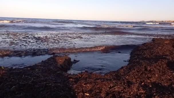 Βρώμικη Θάλασσα Σωροί Σκουπιδιών Στην Αμμώδη Ακτή Ρύπανση Περιβαλλοντικό Πρόβλημα — Αρχείο Βίντεο