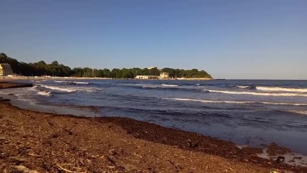 Πανοραμική Θέα Της Βρώμικης Θάλασσας Σωρούς Σκουπιδιών Στην Αμμώδη Ακτή — Αρχείο Βίντεο