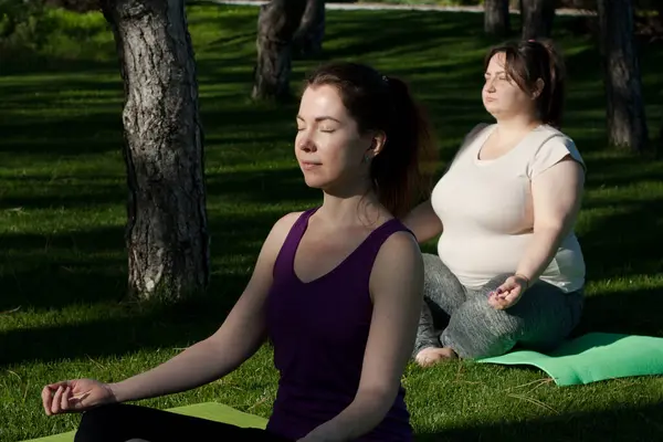 Şehir parkında yoga yapan iki orta yaşlı kadın güneşin altında çimlerin üzerinde meditasyon yapıyorlar. Sağlıklı yaşam tarzı, fitness, yoga, açık havada pilates. Kilolu kadın yoga eğitmeniyle pratik yapıyor..