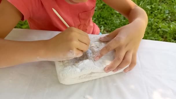Pojke Brinner För Arkeologiska Utgrävningar Sitter Vid Bordet Naturen Barn — Stockvideo