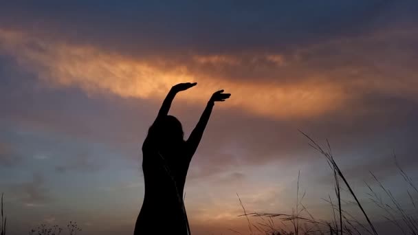 穿着紧身衣的年轻女子的轮廓在田野里跳舞 性感的舞蹈演员背向美丽的落日的天空 自然的放松 创造力 生活方式 — 图库视频影像