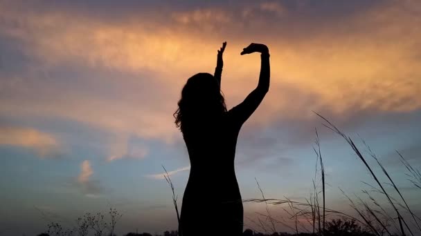 Silhouette Giovane Donna Con Bella Figura Abito Stretto Danza Natura — Video Stock