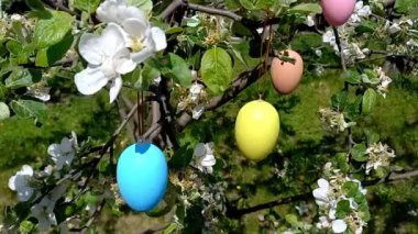 Mutlu Paskalyalar. Süslü Paskalya yumurtalarıyla süslenmiş çiçek açan ağaç. Bahar bahçesi, Paskalya hazırlıkları. Seçici odaklanma. Dini bayram