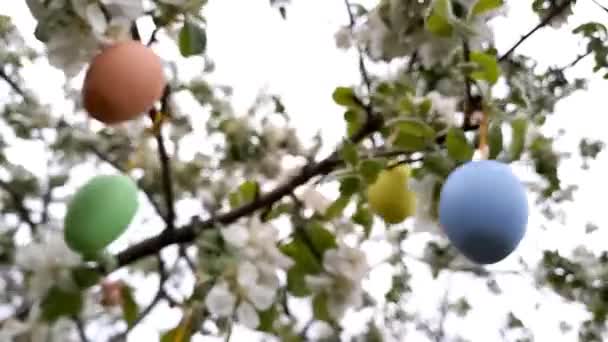 Buona Pasqua Albero Fiorito Decorato Con Uova Pasqua Decorative Giardino — Video Stock