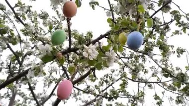 Mutlu Paskalyalar. Süslü Paskalya yumurtalarıyla süslenmiş çiçek açan ağaç. Bahar bahçesi, Paskalya hazırlıkları. Seçici odaklanma. Dini bayram